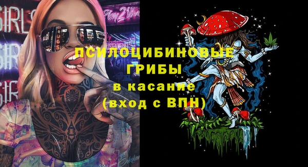 МДПВ Алзамай